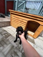 Load image into Gallery viewer, Large Dog Kennel with a porch
